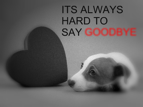 goodbye-14544